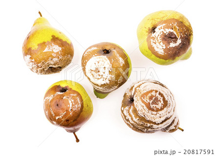Group of rotten pears Group of rotten pears 20817591