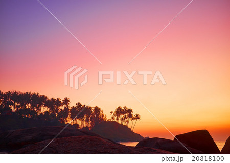 Beautiful sunset  in Indian Goa with palm 20818100