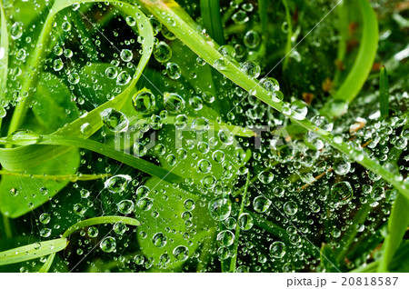 water drops 20818587