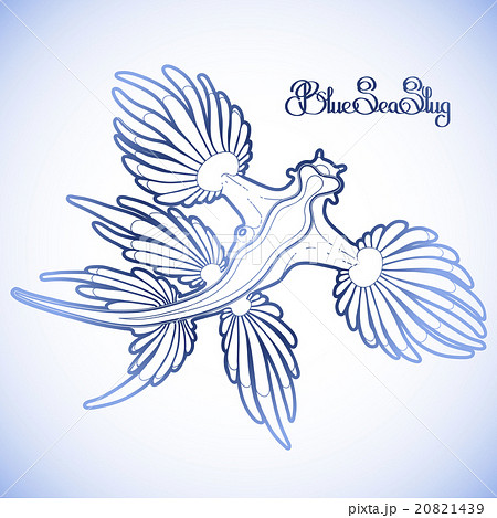 Graphic blue sea slug 20821439