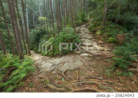 馬越峠 馬越峠 20824043