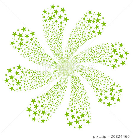 Star Salute Flower With Eight Petals 20824466