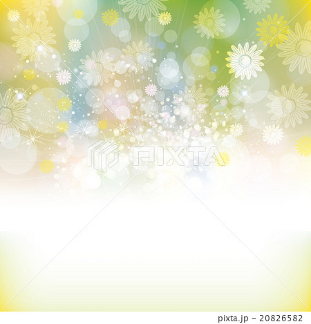 デージー　背景 20826582