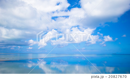 Luxury infinity swimming pool in the tropical 20827670