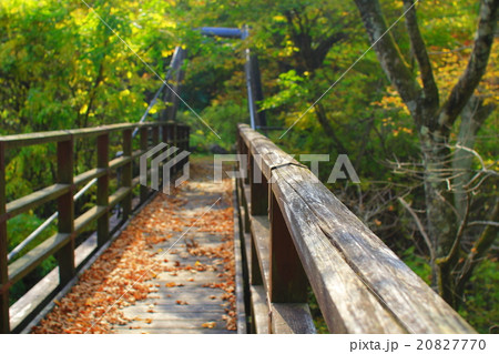 小さな吊橋 20827770