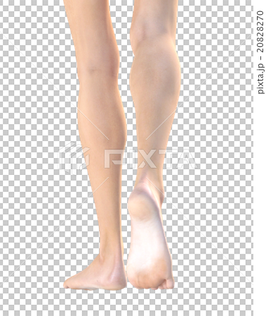 Ideal women's leg body Parts perming 3DCG illustration material 20828270