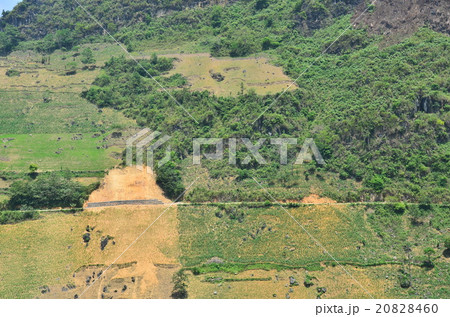 ベトナム　バクハの美しい山と棚田 20828460