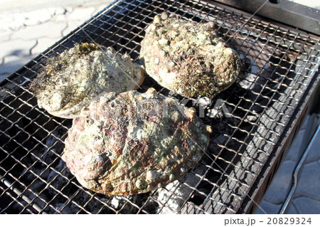 海産物の炭火焼 海産物の炭火焼 20829324