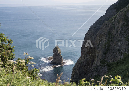 室蘭　ローソク岩 20829350