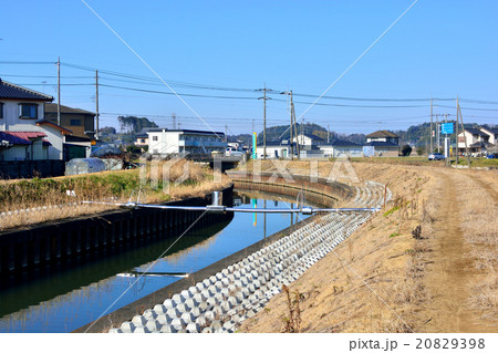 霞ヶ浦の高橋川 20829398