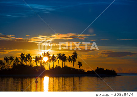Dark silhouettes of palm trees and amazing cloudy Dark silhouettes of palm trees and amazing cloudy 20829474