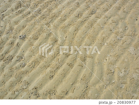 Beach sand ripple pattern 20830977