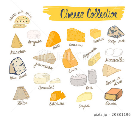 Vector illustration of cheese collection. 20831196