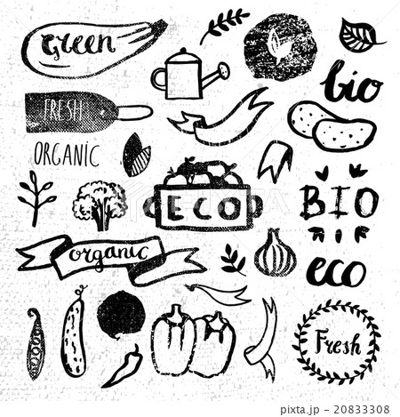 Ink logotypes set. Badges, labels,leaves,ribbons Ink logotypes set. Badges, labels,leaves,ribbons 20833308