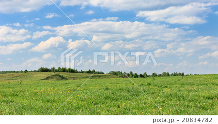 Field and sky 20834782