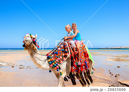 Tourists riding camel  on the beach of  Egypt. 20835606