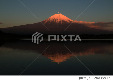 ダブルパール富士 20835917