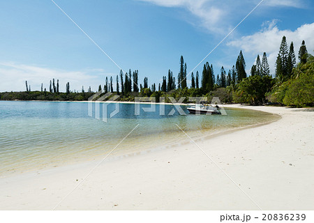 カヌメラ・ビーチ (ニュー・カレドニア、イル・デ・パン) カヌメラ・ビーチ (ニュー・カレドニア、イル・デ・パン) 20836239