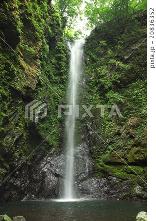 神通の滝 20836352
