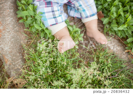 8 months old 20836432