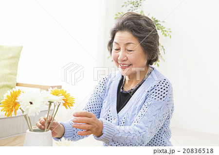 花を活けるシニア女性 20836518