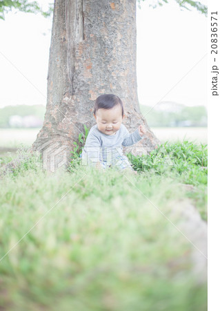 8 months old 8 months old 20836571