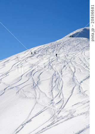快晴の八方尾根スキー場 快晴の八方尾根スキー場 20836681