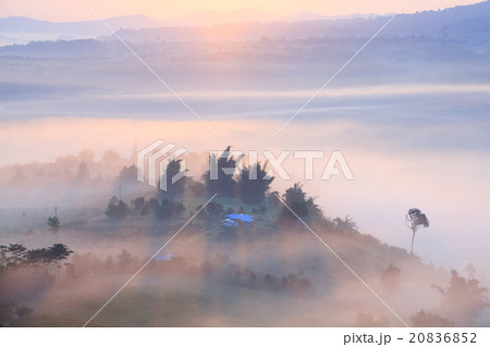 Misty morning sunrise in Khao Takhian Ngo Misty morning sunrise in Khao Takhian Ngo 20836852