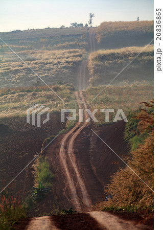 Country dirt road in shadow and sunlight 20836865