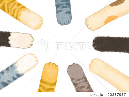 猫の手いっぱい 猫の手いっぱい 20837037