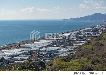 石垣苺のビニールハウスが並ぶ駿河湾の海岸、久能山、静岡県 20837084