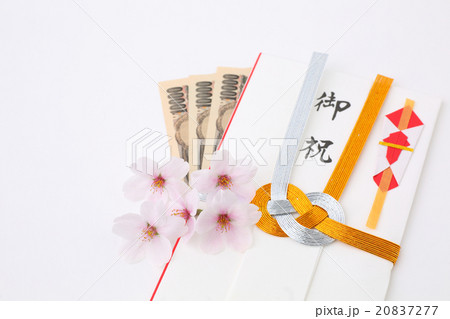 お祝い　桜 20837277