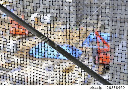 防護ネットと枠組足場のブレス 20838460