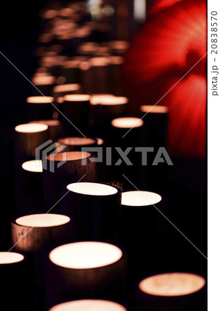 百華百彩 20838570