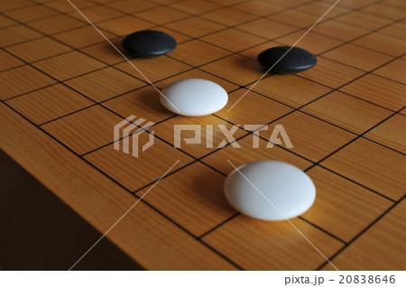 囲碁 20838646