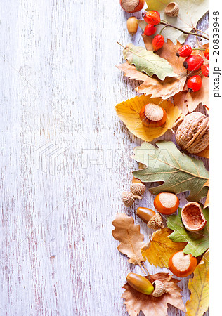 autumn background 20839948