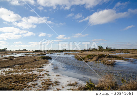 Spring with flood at a plain grassland 20841061