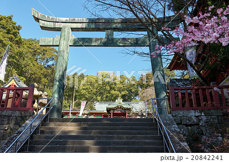 春の久能山東照宮、青銅の鳥居、静岡県 20842241