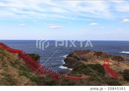 長門市 元乃隅稲荷神社 冬の北長門海岸 長門市 元乃隅稲荷神社 冬の北長門海岸 20843161
