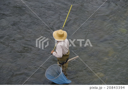 鮎釣りの漁師さん(錦帯橋にて) 鮎釣りの漁師さん(錦帯橋にて) 20843394