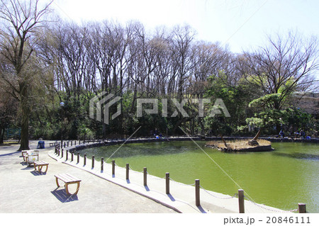 赤塚溜池公園 赤塚溜池公園 20846111