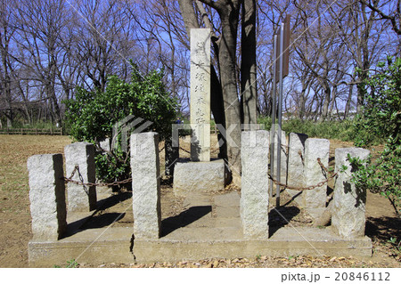 赤塚城本丸跡 20846112