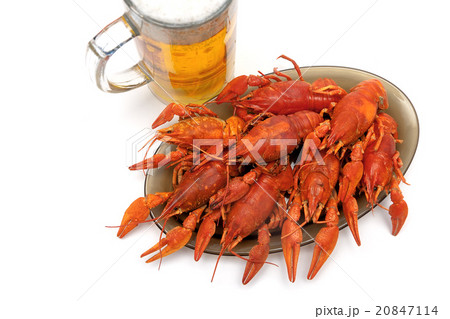 crayfish and beer closeup on a white background 20847114