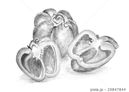 Original pencil drawing by the pepper. 20847844