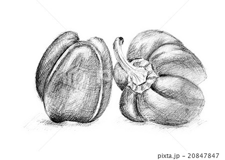 Original pencil drawing by the pepper. 20847847