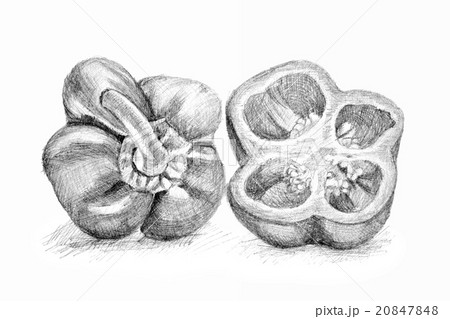 Original pencil drawing by the pepper. 20847848