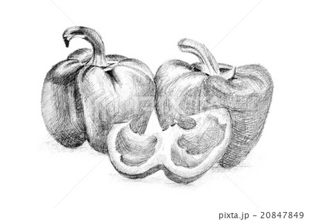 Original pencil drawing by the pepper. 20847849