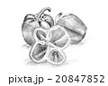 Original pencil drawing by the pepper. 20847852