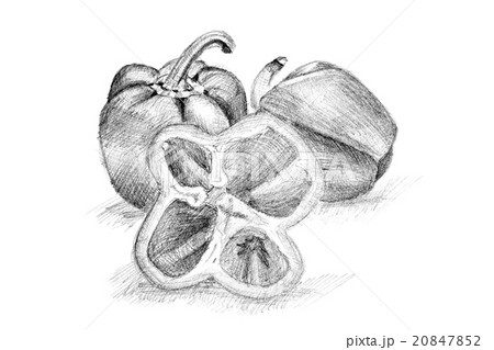 Original pencil drawing by the pepper. 20847852