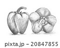 Original pencil drawing by the pepper. 20847855